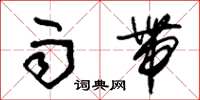 朱锡荣雨带草书怎么写