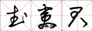 朱锡荣武夷君草书怎么写