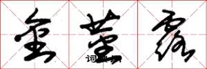 朱锡荣金茎露草书怎么写