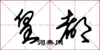 朱锡荣皇都草书怎么写