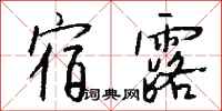 钱沛云宿露行书怎么写
