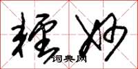 朱锡荣轻妙草书怎么写