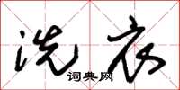 朱锡荣洗衣草书怎么写