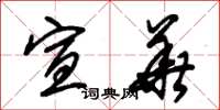 朱锡荣宣华草书怎么写