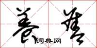 朱锡荣养善草书怎么写