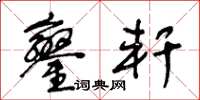 王冬龄銮轩草书怎么写