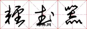 朱锡荣轻武器草书怎么写