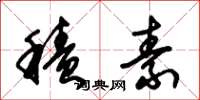 朱锡荣积素草书怎么写