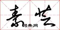 朱锡荣素芝草书怎么写
