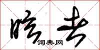 朱锡荣眩者草书怎么写