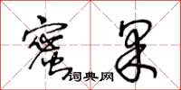 王冬龄蜜果草书怎么写