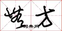 朱锡荣无方草书怎么写