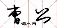 朱锡荣曹公草书怎么写