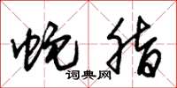朱锡荣蛇脂草书怎么写