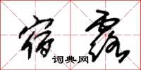 朱锡荣宿露草书怎么写