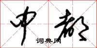 朱锡荣中都草书怎么写