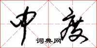 朱锡荣中度草书怎么写