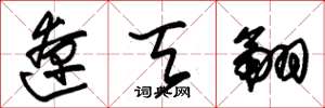 朱锡荣辽天翮草书怎么写