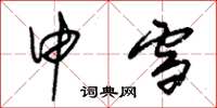 朱锡荣申雪草书怎么写