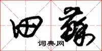 朱锡荣田苏草书怎么写