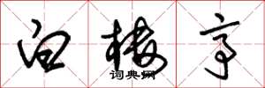 朱锡荣白楼亭草书怎么写