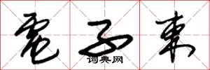 朱锡荣电子束草书怎么写