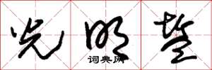 朱锡荣光明盐草书怎么写
