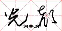 朱锡荣光颜草书怎么写