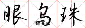 钱沛云眼乌珠行书怎么写