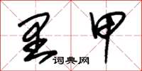 朱锡荣里甲草书怎么写