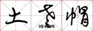 曾庆福土老帽草书怎么写