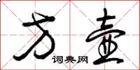 曾庆福方壶草书怎么写