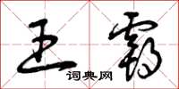 曾庆福王霸草书怎么写