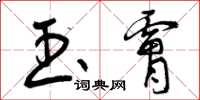 曾庆福玉肤草书怎么写
