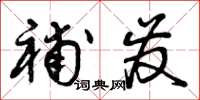 曾庆福补发草书怎么写