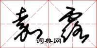 朱锡荣嘉露草书怎么写