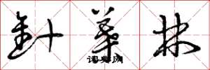 曾庆福针叶林草书怎么写