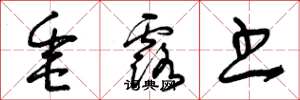 曾庆福垂露书草书怎么写