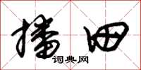 朱锡荣播田草书怎么写