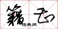 朱锡荣籍甚草书怎么写