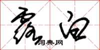 朱锡荣露白草书怎么写