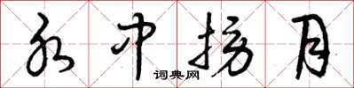 曾庆福水中捞月草书怎么写