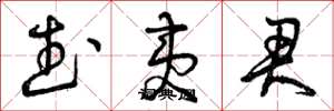 曾庆福武夷君草书怎么写