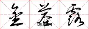 曾庆福金茎露草书怎么写