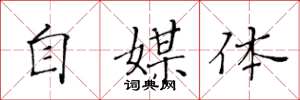黄华生自媒体楷书怎么写