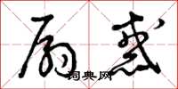 曾庆福扇惑草书怎么写