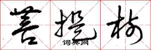 曾庆福菩提树草书怎么写