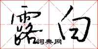钱沛云露白行书怎么写