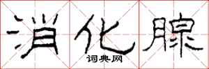 柯春海消化腺隶书怎么写