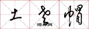 梁锦英土老帽草书怎么写